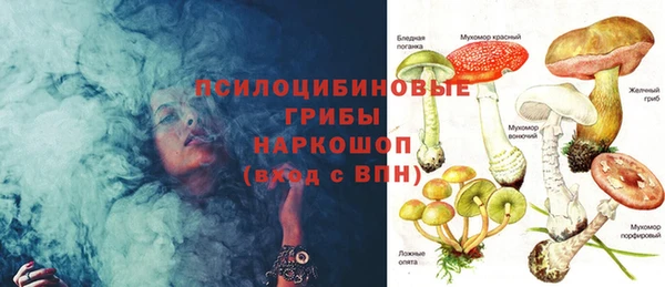 кокс Гусиноозёрск