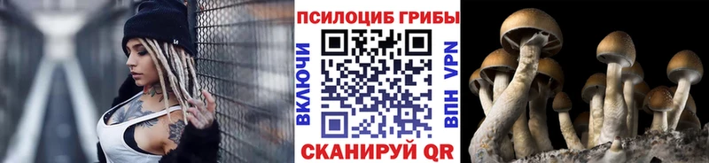 МЕГА онион  Чегем  Псилоцибиновые грибы Psilocybine cubensis 