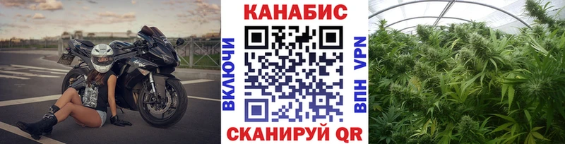 Бошки Шишки сатива  где найти наркотики  hydra рабочий сайт  Чегем 
